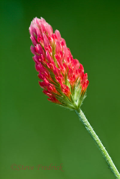 2004_0515Assawoman20013