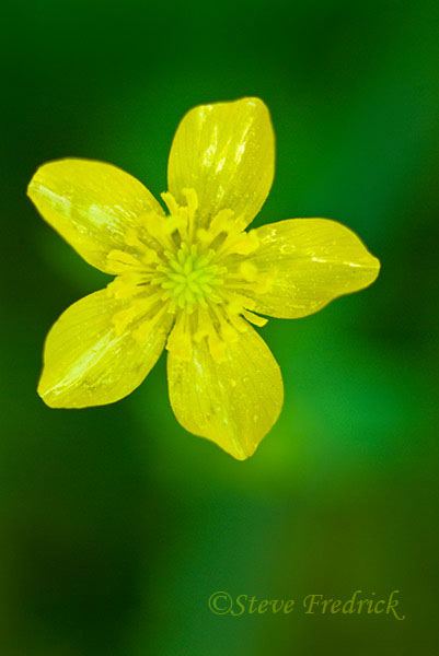 2004_0522Assawoman1_0006