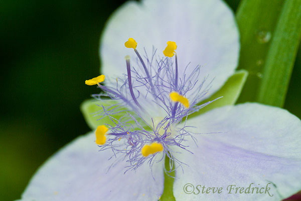 2004_0522Assawoman2_0021