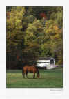 Covered-Bridge_303_400x30072.jpg (54302 bytes)