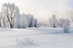 20070126_TetonsNP_032