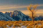 20070126_Tetons_0214