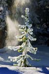 20070127_Yellowstone_0071