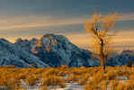 20070126_Tetons_0214.jpg (92939 bytes)